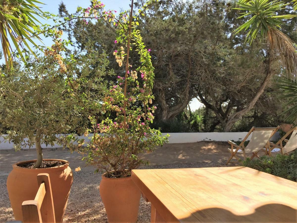 Apartamentos Laura Playa De Migjorn Eksteriør bilde